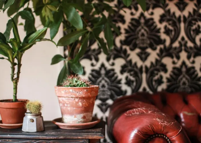 Проживание в семье Coliving Trastevere