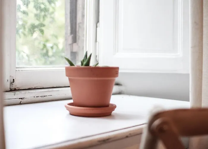 Проживание в семье Coliving Trastevere *